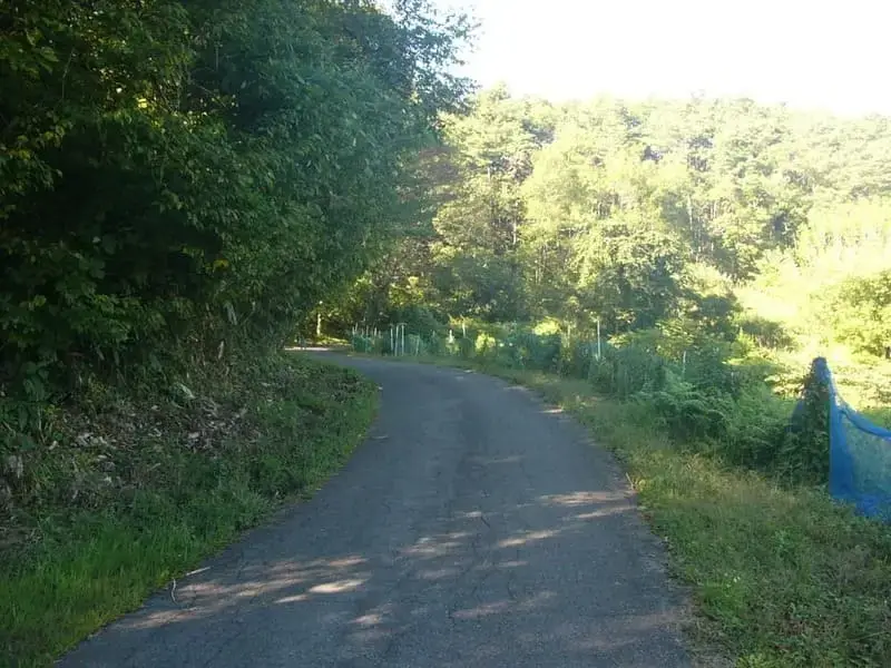 集落に繋がる道路 = 2021年9月20日 竜沢