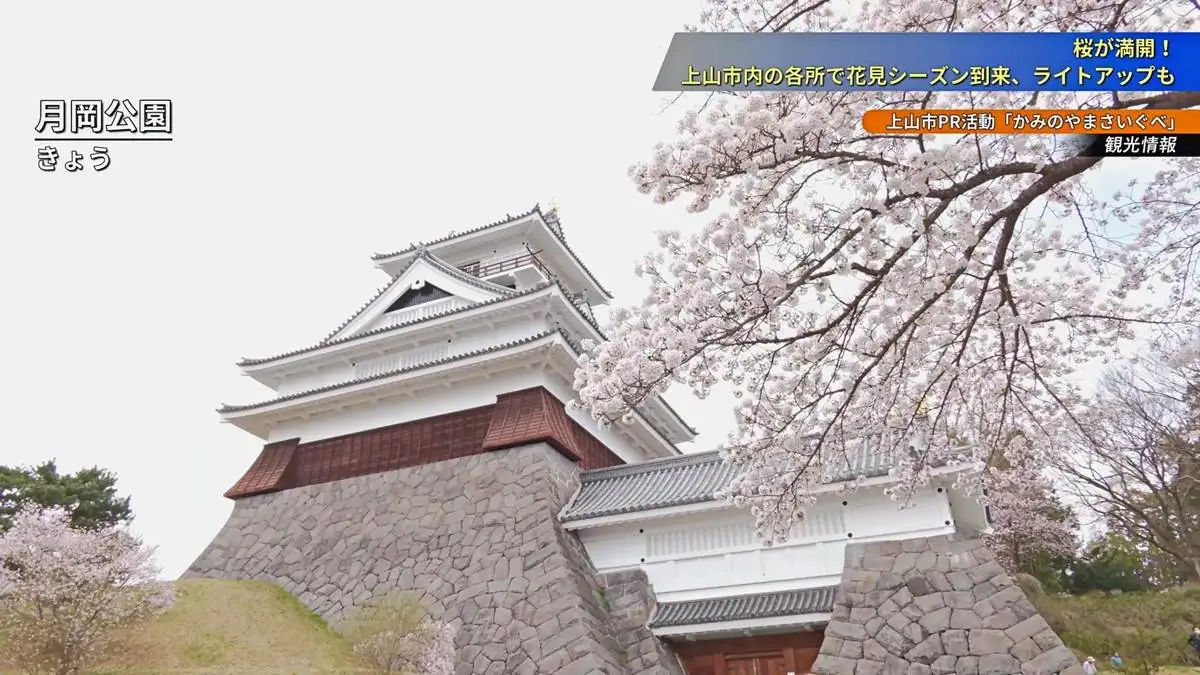 この日は上山城の休館日だが、花見にたくさんの人が訪れていた = 2023年4月6日 月岡公園