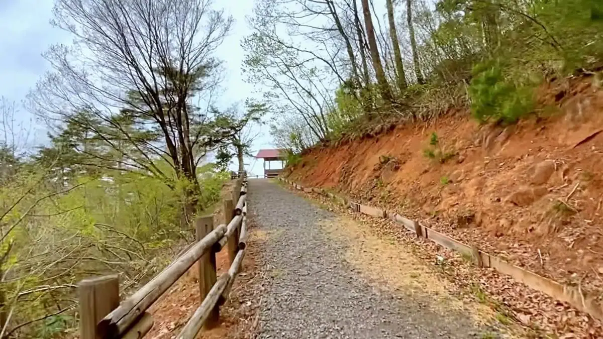 見晴らし台に続く道 = 2022年4月22日 三吉山