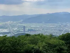 【三吉山散策記】世界でここだけの桜「シンエイザクラ」を探しに