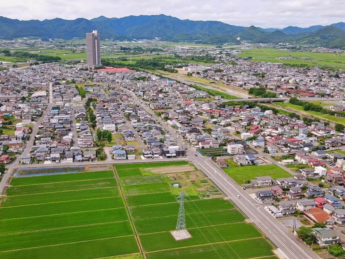 緑に染まる住宅街と田園