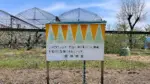 関根コミュニティ広場