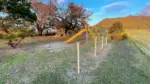 関根農村公園