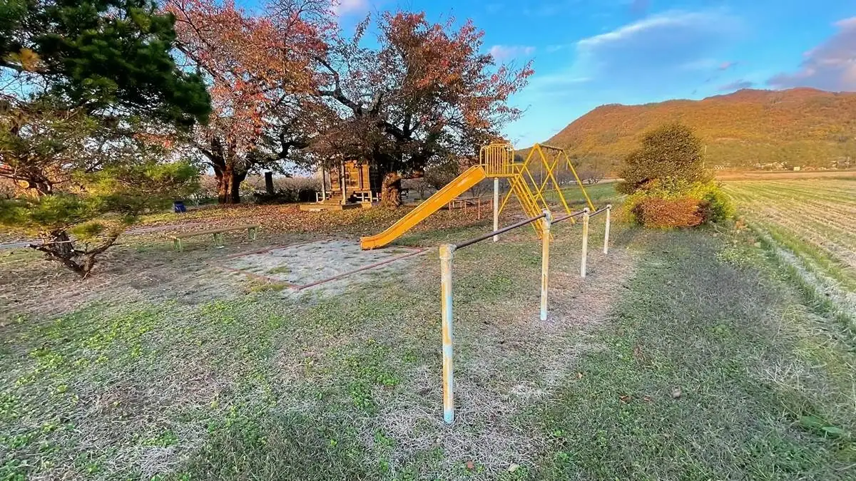 2021年11月3日 関根農村公園