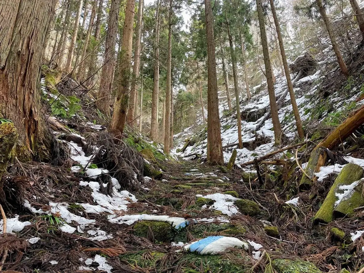 岩観音へ通じる石段 = 2023年2月24日 仙石の岩観音