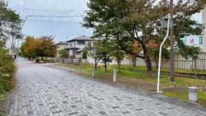 上山市の遊歩道、桜並木が続く小川流れる「せせらぎ緑道」
