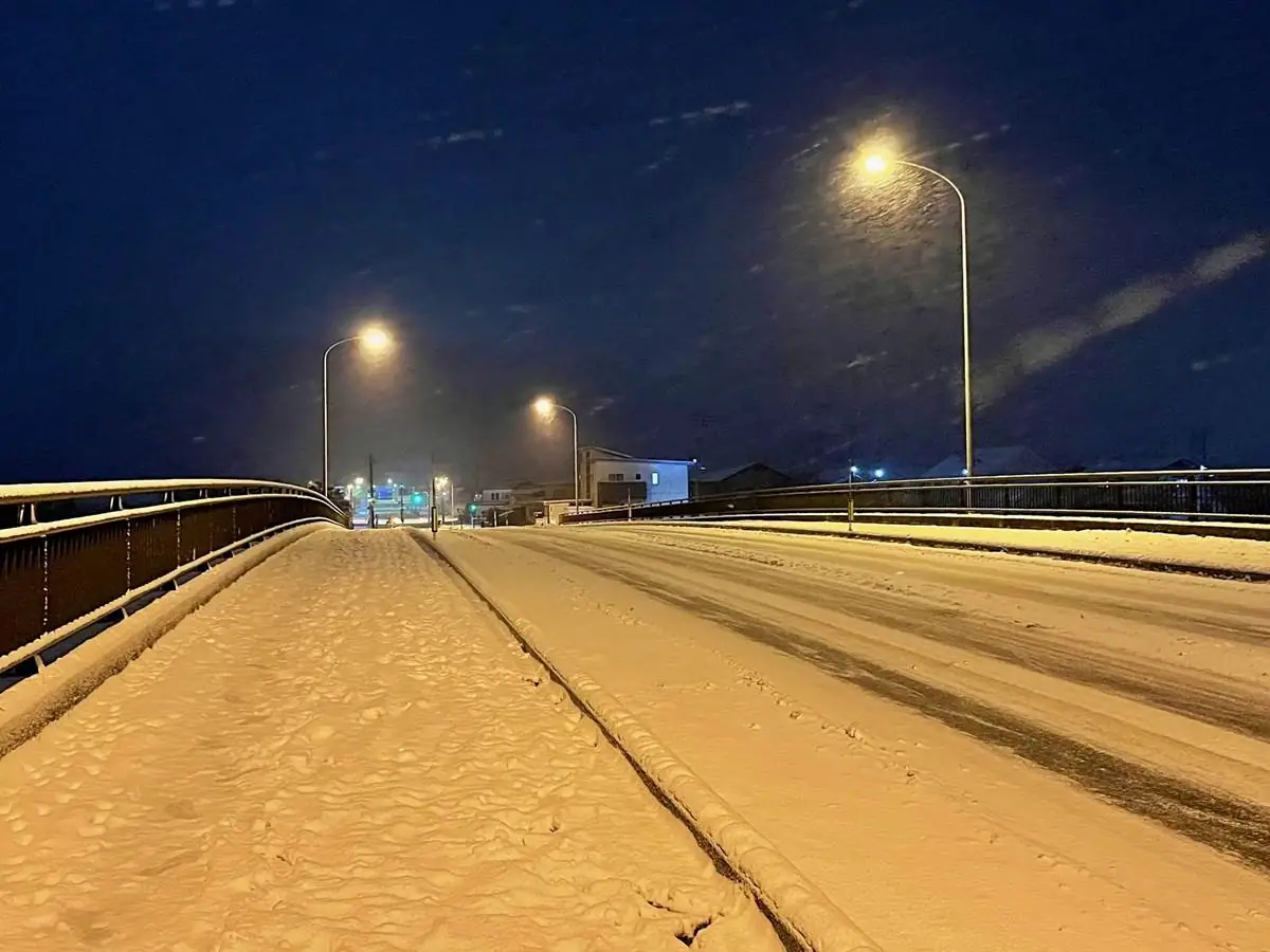 12月の東宮新橋に積もる雪