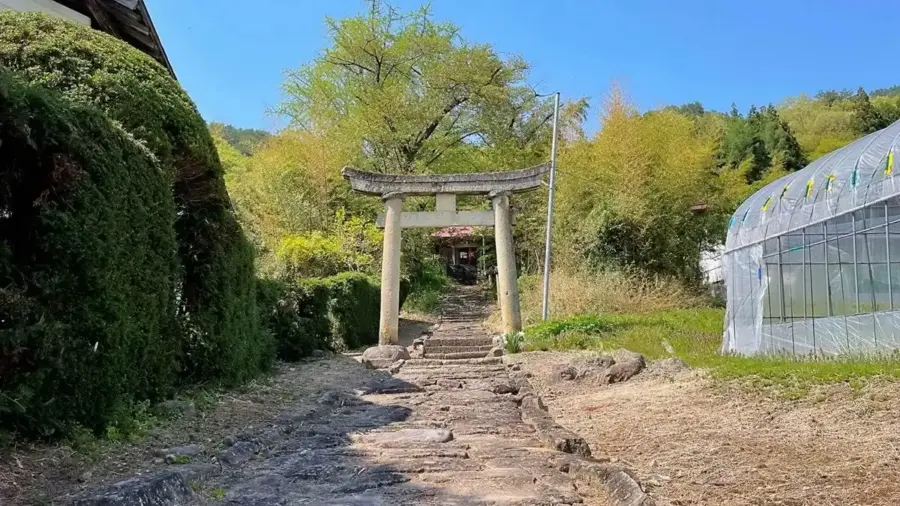 2022年5月5日 菖蒲村観音