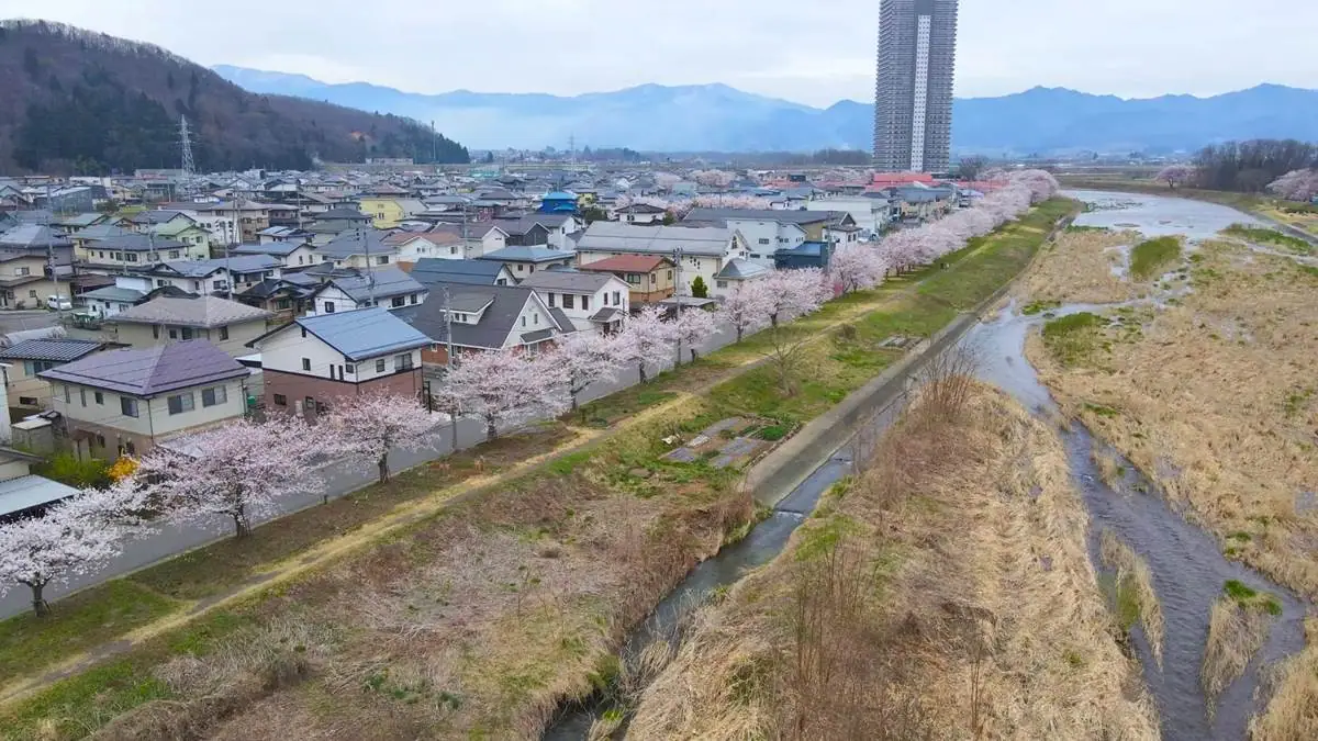 2023年4月6日 須川河岸堤プロムナード上空