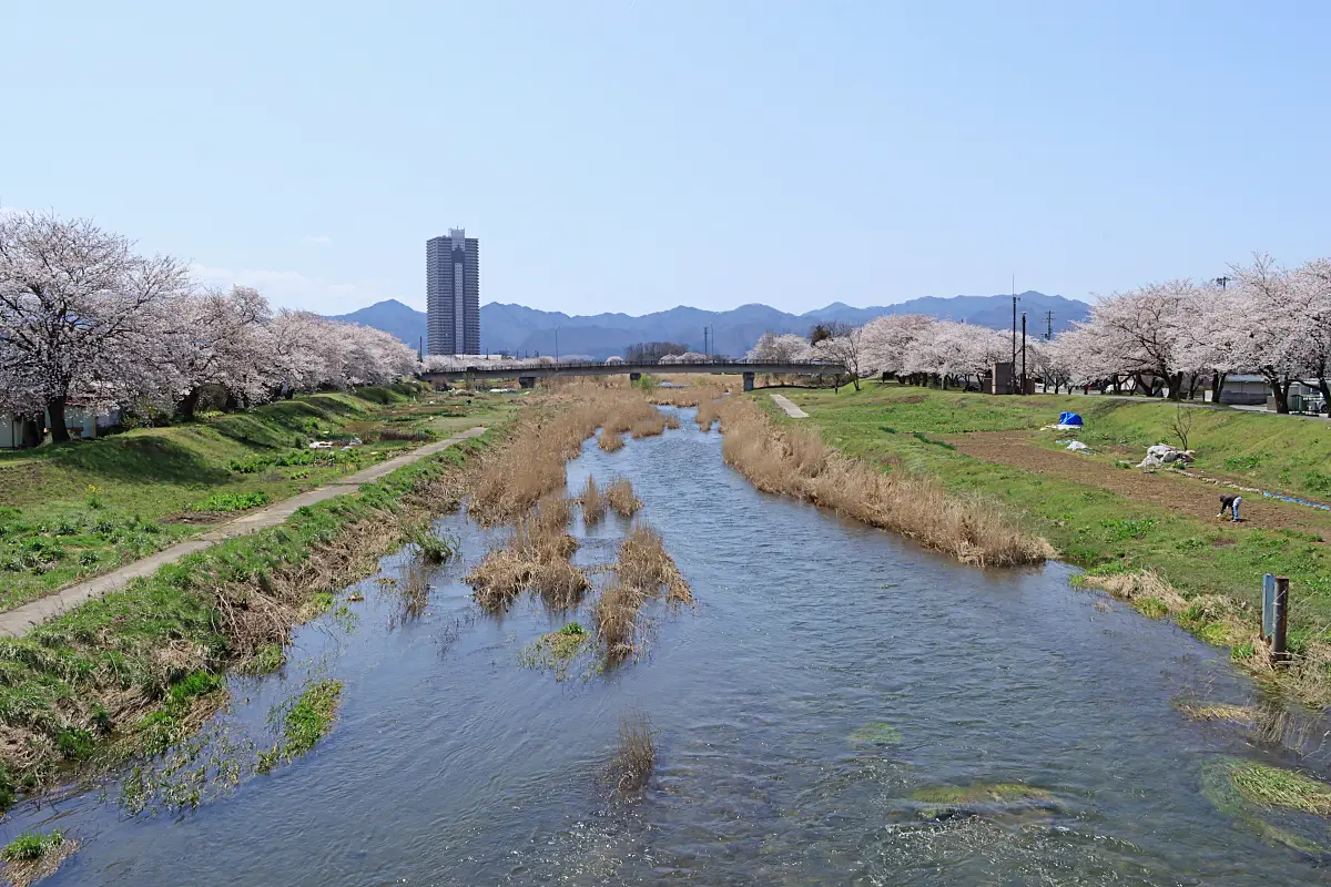 2023年4月6日 須川河岸堤プロムナード