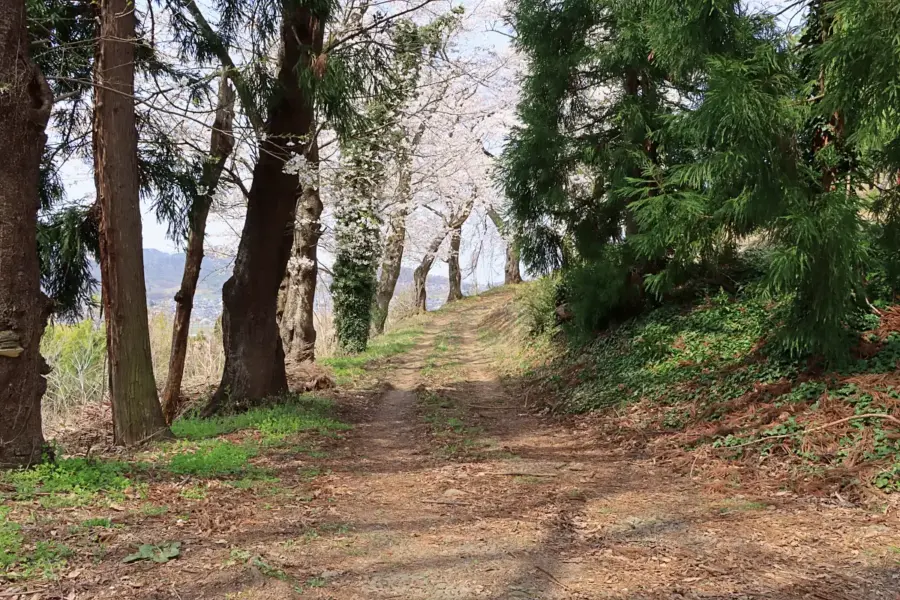 2021年6月9日 諏訪山児童遊園