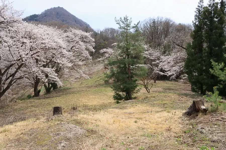 2021年6月9日 諏訪山児童遊園