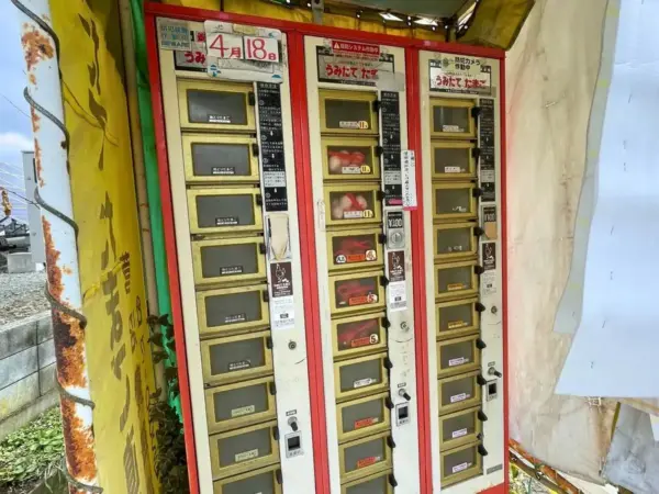 かみのやま温泉駅の近くには「うみたてたまご自販機」があるよ? 実際に買ってみました
