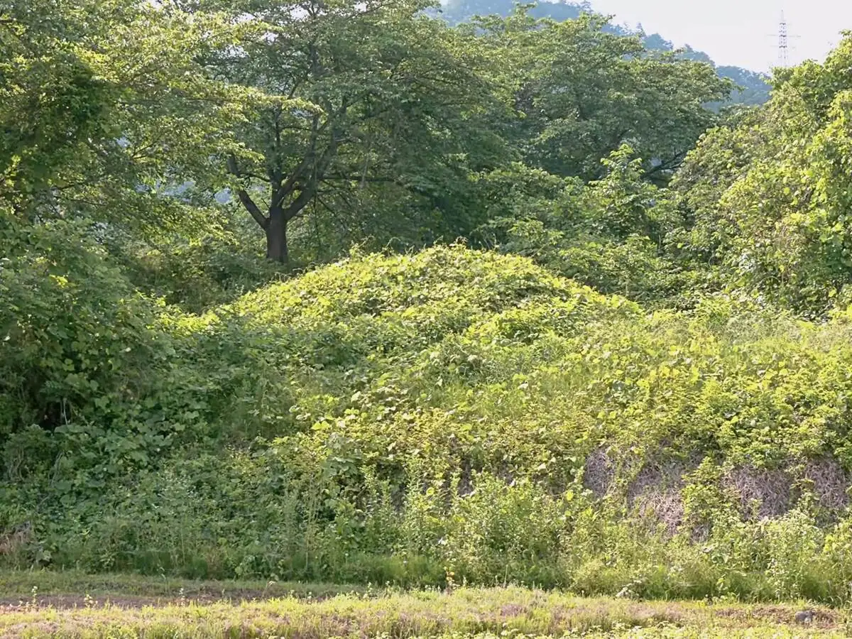 3号墳 = 2021年6月16日 金谷土矢倉