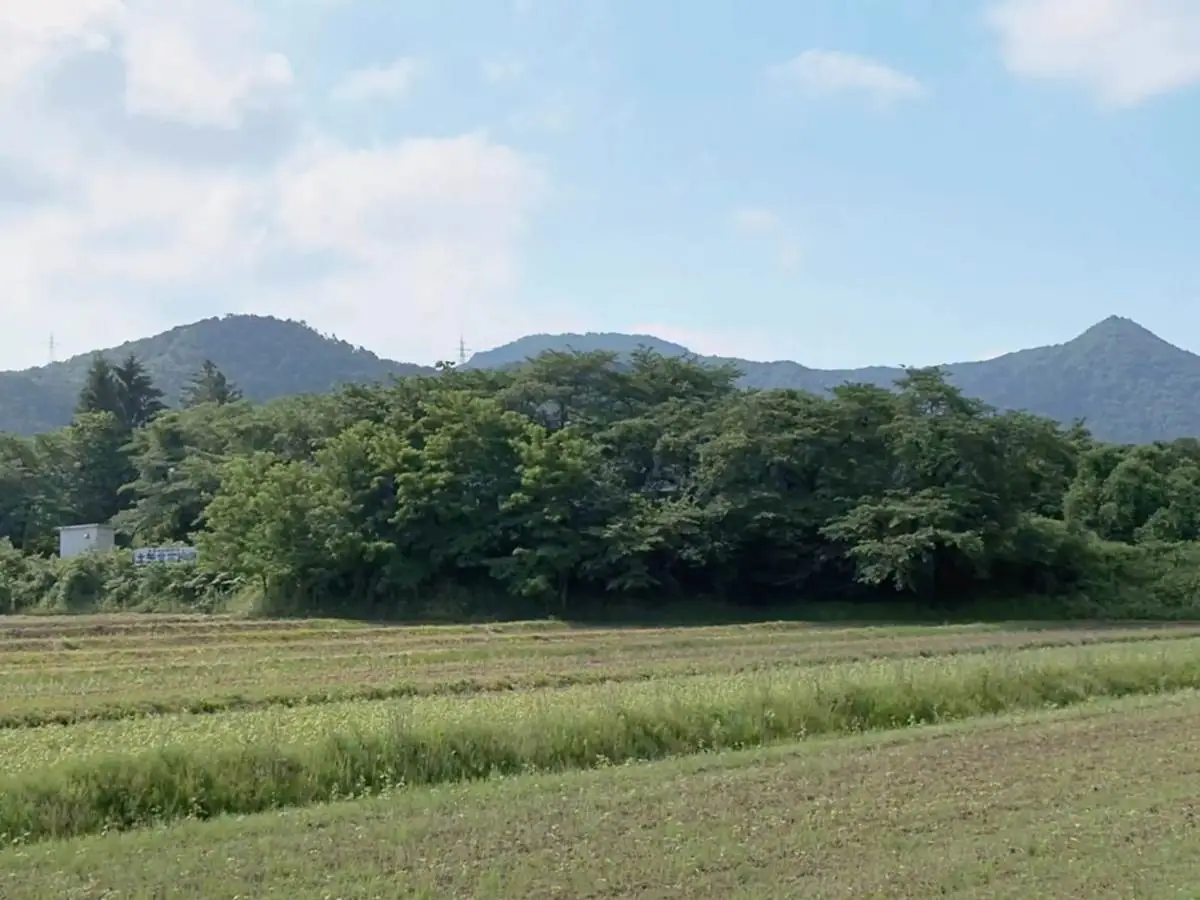 周辺よりも小高い土矢倉の台地。2019年には、この近くで新たに「藤木遺跡」が発見されている。