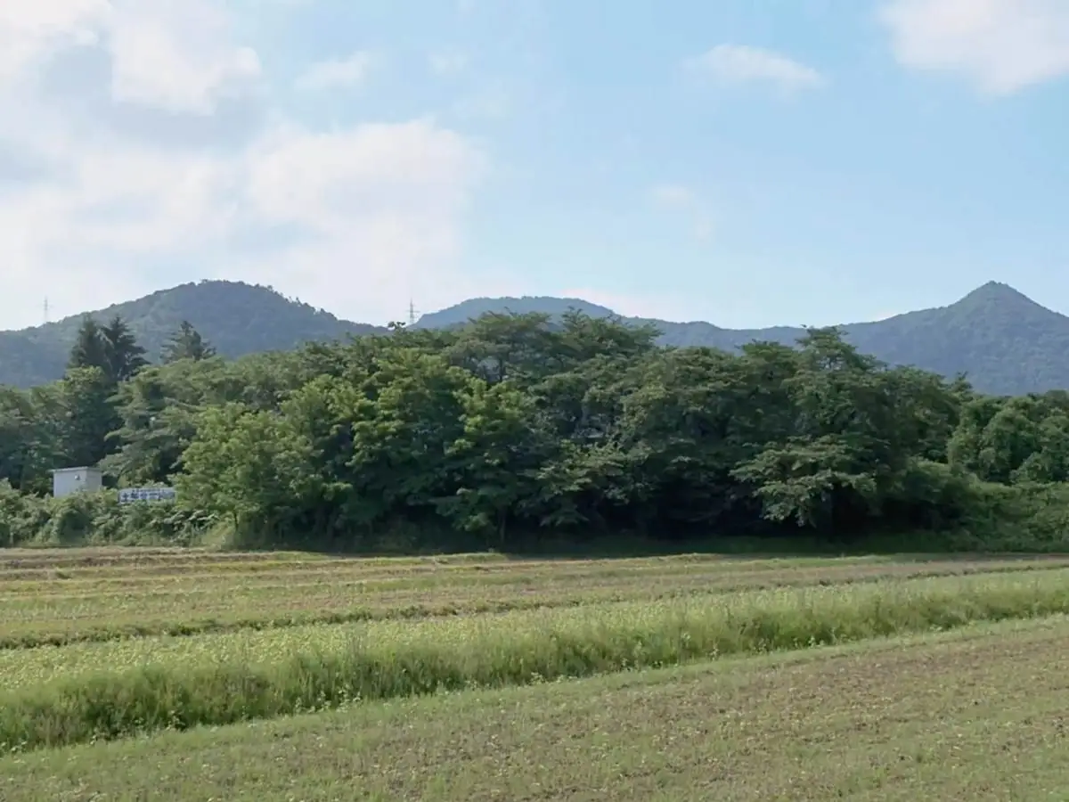 実際に見て学ぶ上山市の歴史の1つ「土矢倉古墳群」とは一体何か