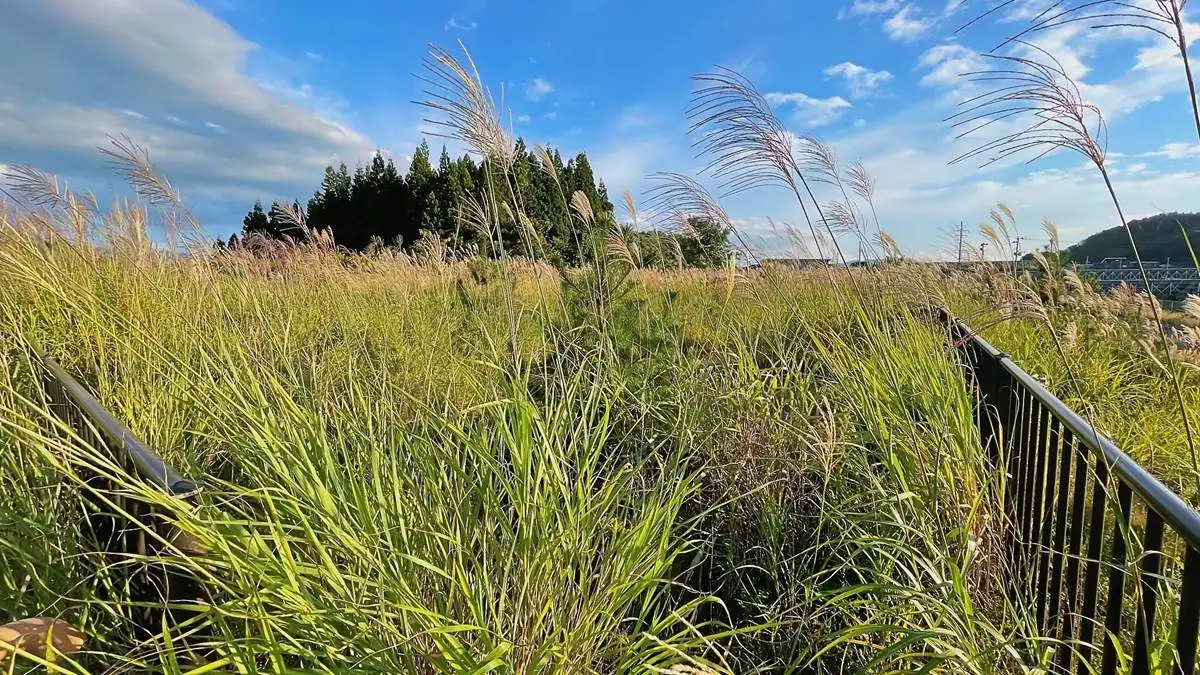 2021年9月12日 蔵王みはらしの丘近隣公園